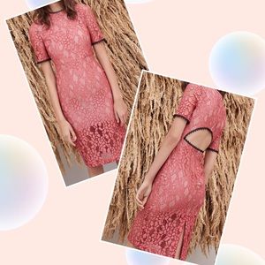 New with Tag Alexis Remi Lace Midi Dress Size S